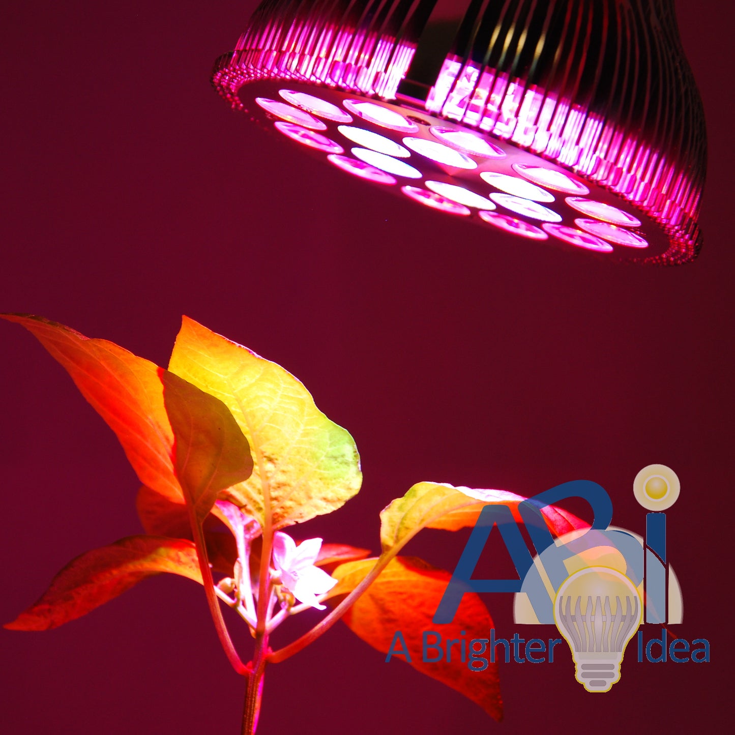 ABI High Power Full Spectrum 18W PAR38 LED Grow Light - Red, Blue, White