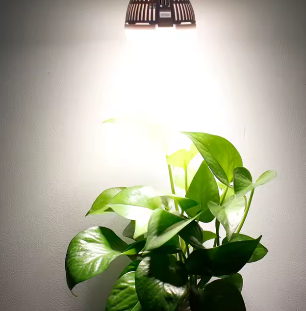 SANSI Grow Lamp 24W Full Spectrum Grow Light Bulb Grow Light Horticulture Garden Grow Light